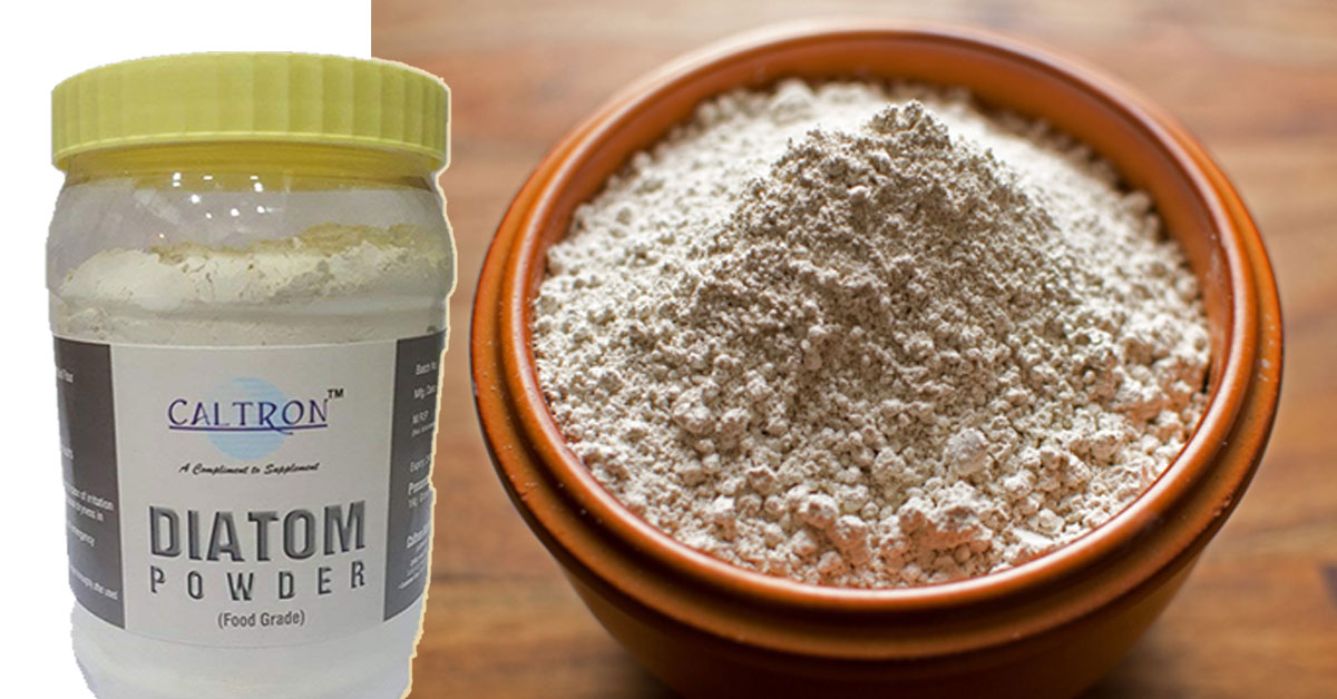 foodgrade-diatomaceous-earth-powder-diatom-powder-caltron-clays