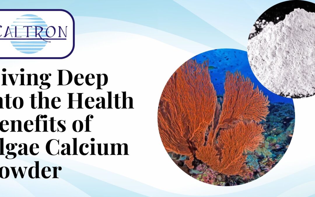 Diving Deep into the Health Benefits of Algae Calcium Powder