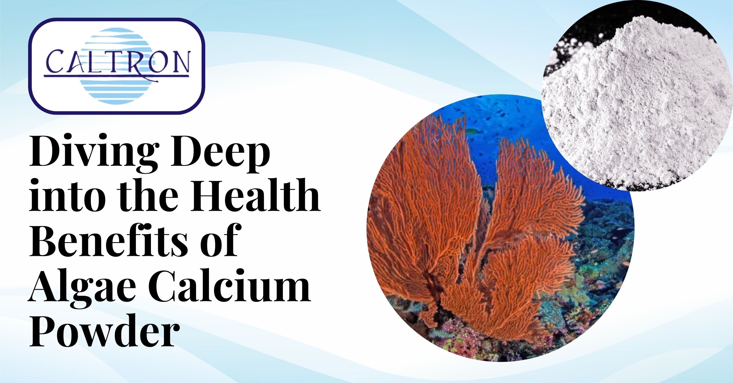 Fresh Look at Diving Deep Into The Health Benefits Of Algae Calcium Powder