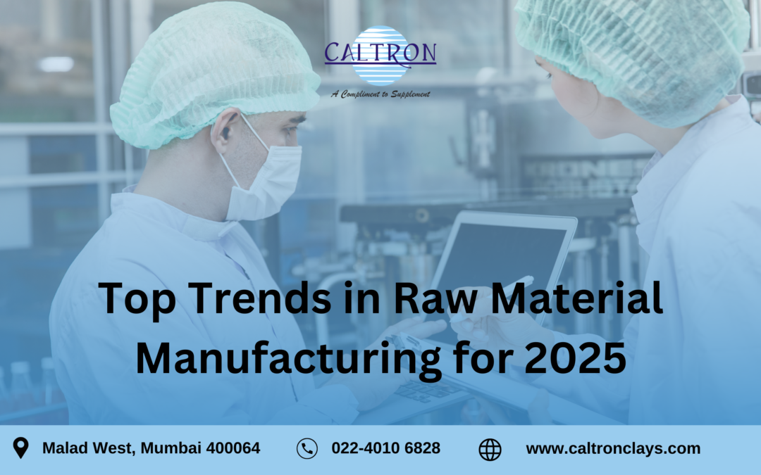 Top Trends in Raw Material Manufacturing for 2025