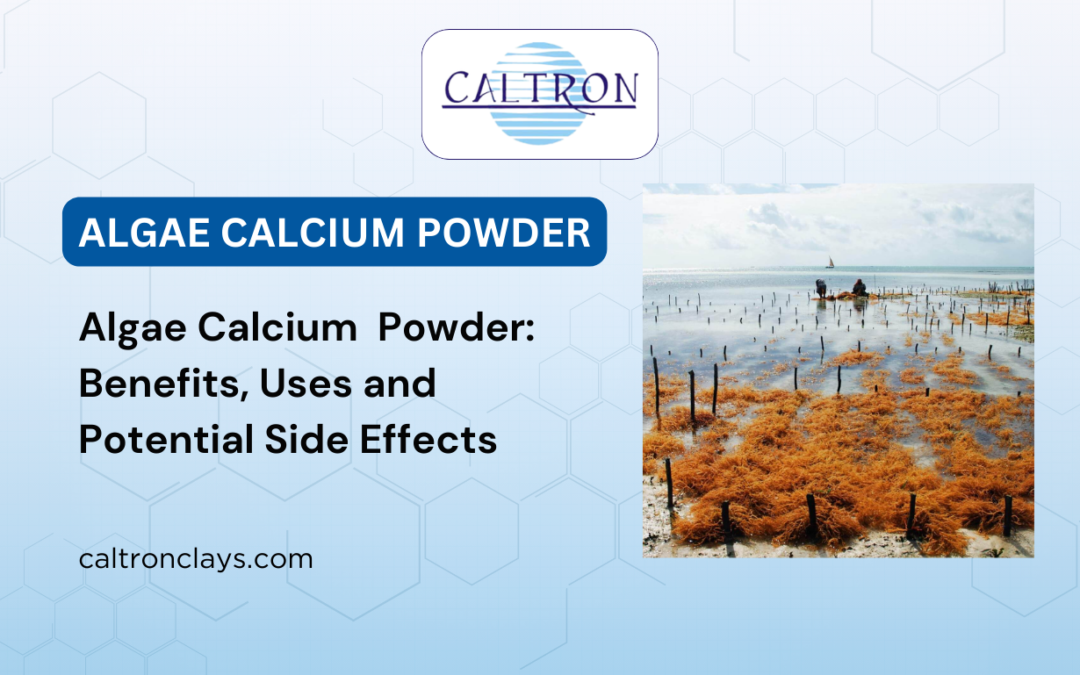 Algae Calcium Powder: Benefits, Uses and Potential Side Effects