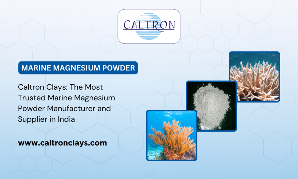 marine magnesium powder manufacturer in India