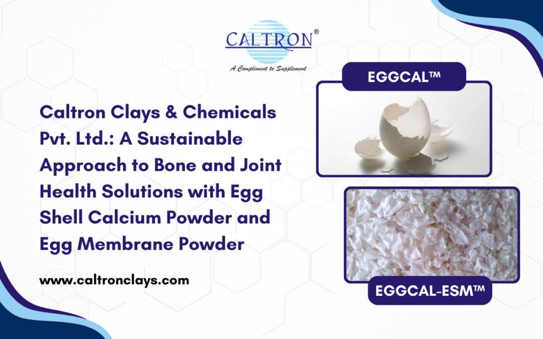 Egg-Derived Raw Materials | Egg Shell Calcium Powder Manufacturer in India | Egg Membrane Powder Manufacturer in India
