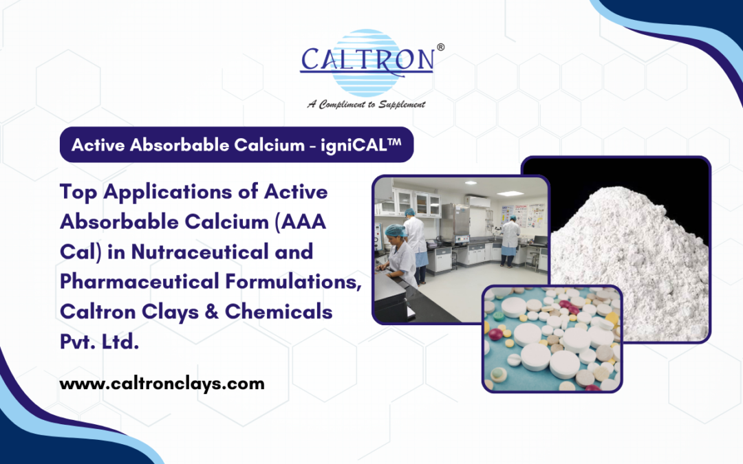 Caltron Clays & Chemicals Pvt. Ltd.: Active Absorbable Calcium Manufacturer in India