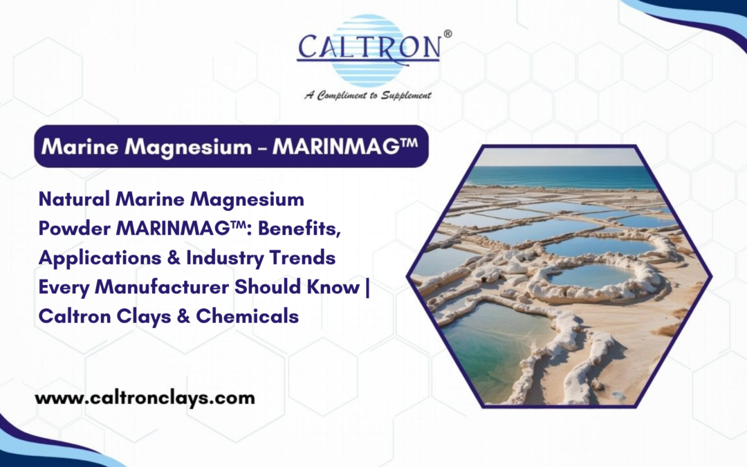 Natural Marine Magnesium Powder MARINMAG™: Benefits, Applications & Industry Trends Every Manufacturer Should Know | Caltron Clays & Chemicals