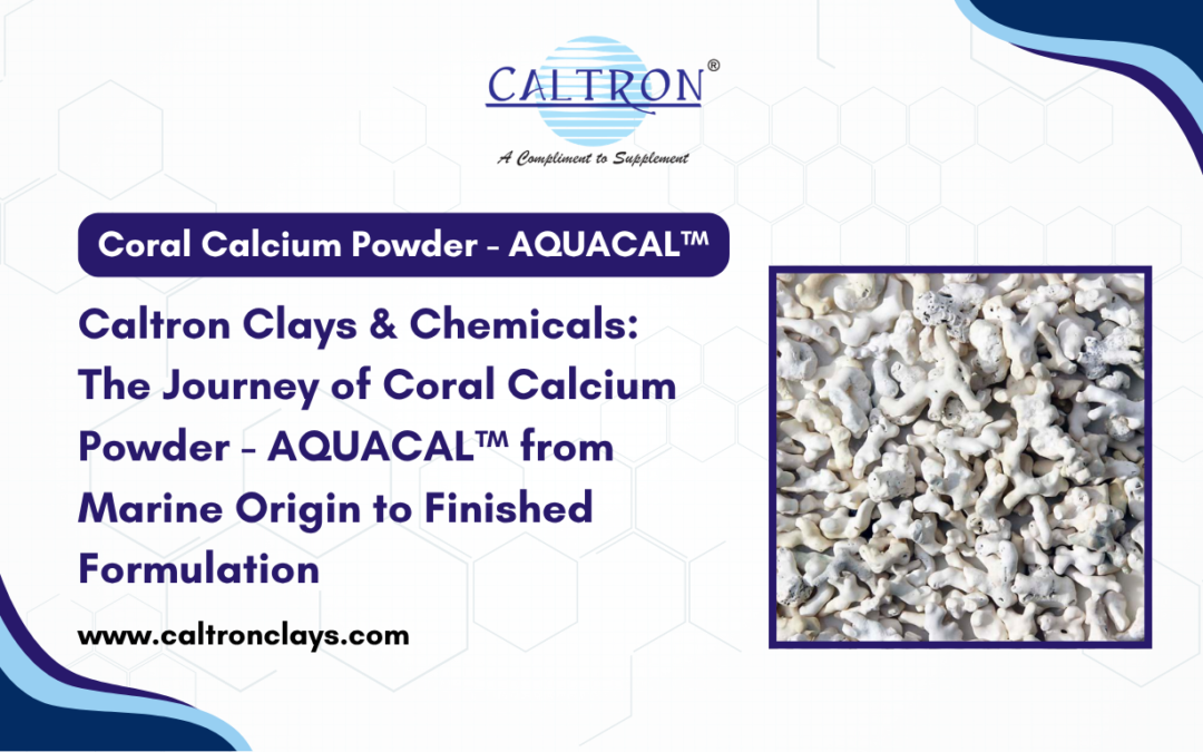 Coral Calcium Powder Supplier in India – Caltron Clays & Chemicals