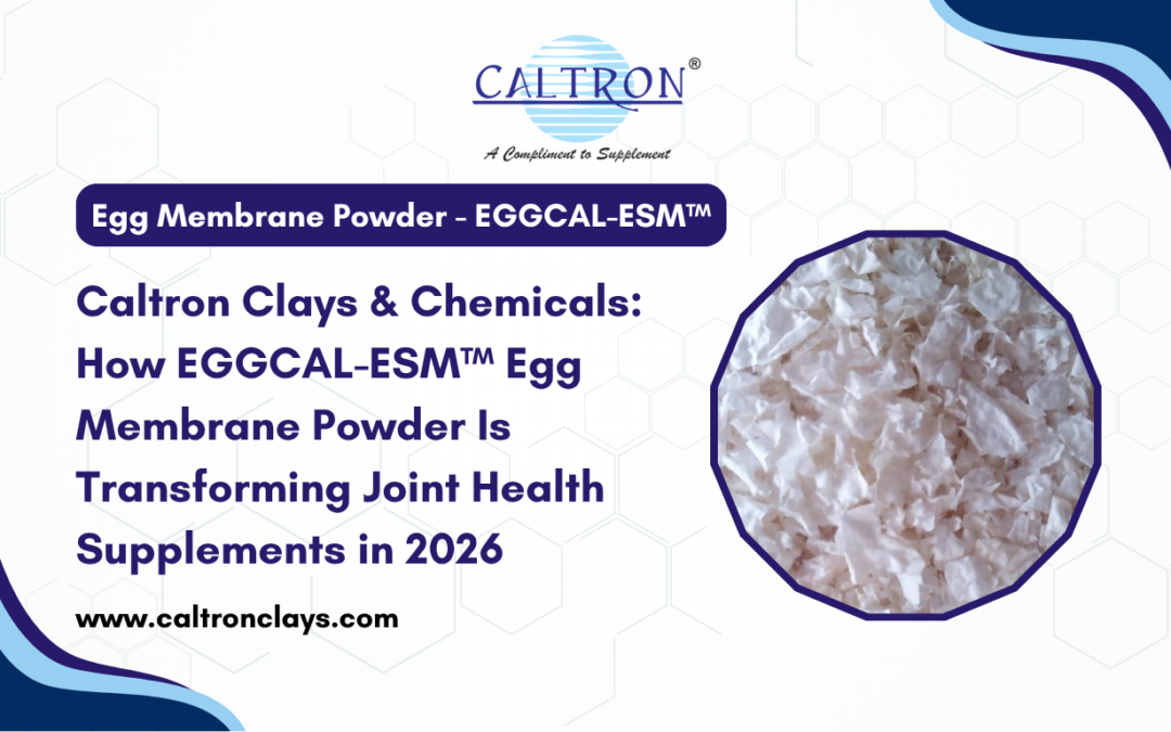 Caltron Clays & Chemicals How EGGCAL-ESM™ Egg Membrane Powder Is Transforming Joint Health Supplements in 2026
